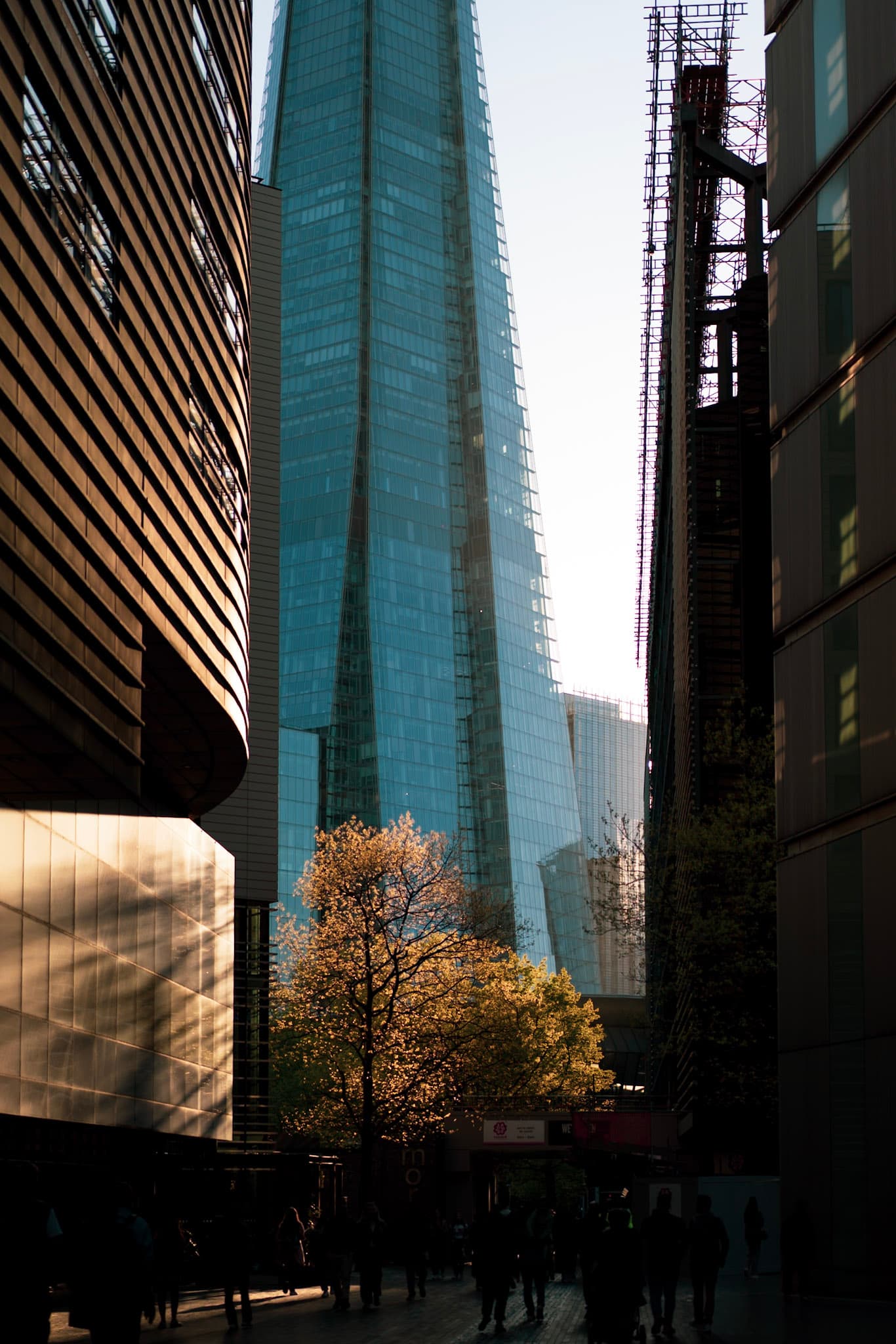 The Shard